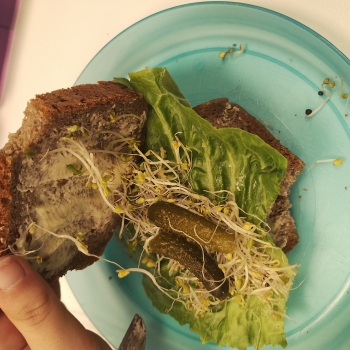 IMG_20250522_100407990