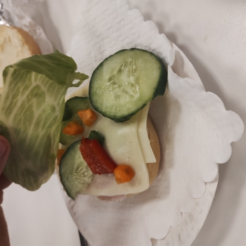 IMG_20250522_100519949