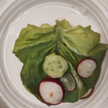 IMG_20250522_100307621