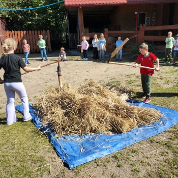 IMG_20250527_093619699_HDR