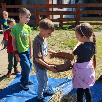 IMG_20250527_095326608_HDR