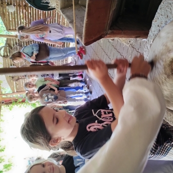 IMG_20250527_102800331_HDR