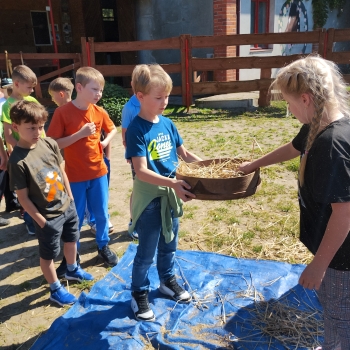 IMG_20250527_095227836