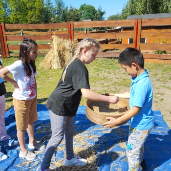 IMG_20250527_095512637