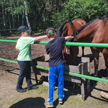 IMG_20250527_131338934_HDR