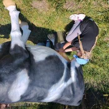 IMG_20250527_125611079_HDR