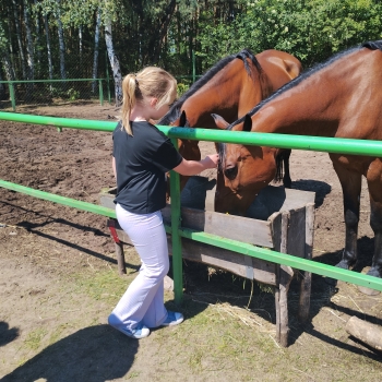 IMG_20250527_131132688