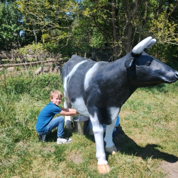 IMG_20250527_130231166_HDR