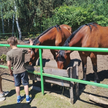 IMG_20250527_131304664_HDR