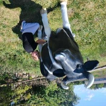 IMG_20250527_125805015_HDR