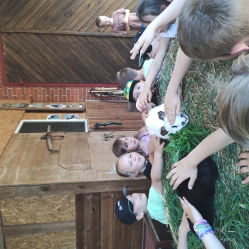 IMG_20250527_132052543