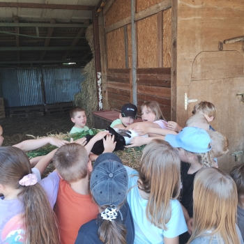 IMG_20250527_132015028