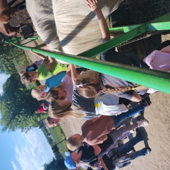 IMG_20250527_131456229