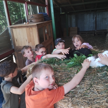 IMG_20250527_132210303