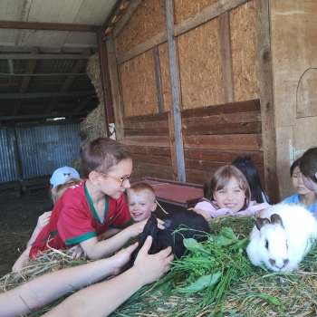 IMG_20250527_132341202_HDR