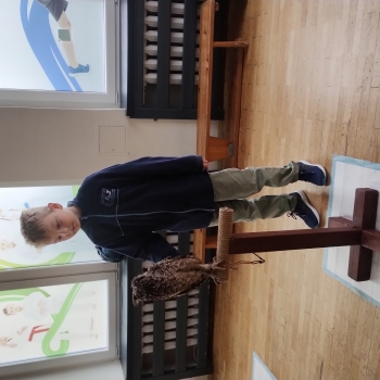 IMG_20250529_084657597_HDR