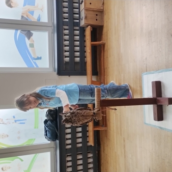 IMG_20250529_084557988_HDR