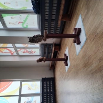 IMG_20250529_080931693_HDR