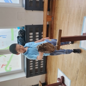 IMG_20250529_084841596_HDR