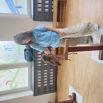 IMG_20250529_084826598_HDR