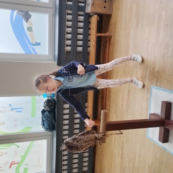 IMG_20250529_084628915_HDR