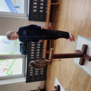 IMG_20250529_084614580_HDR