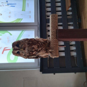 IMG_20250530_103353024_HDR