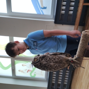 IMG_20250530_103449816_HDR