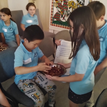 IMG_20250604_104608450