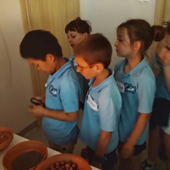 IMG_20250604_111302093