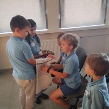 IMG_20250604_104439213_HDR