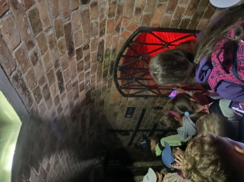 IMG_20250613_131747481