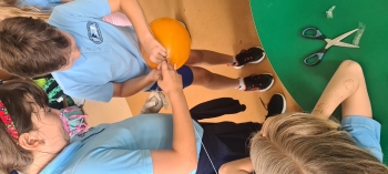 inbound7909775768366389232