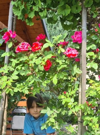 inbound5356955469495275258