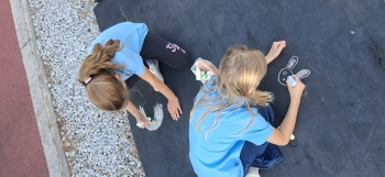 inbound5031881086204972052