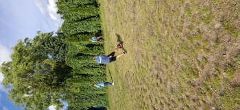 inbound800040720673624128