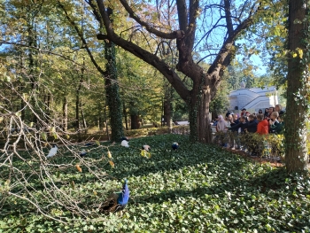 IMG_20251002_160929446_HDR