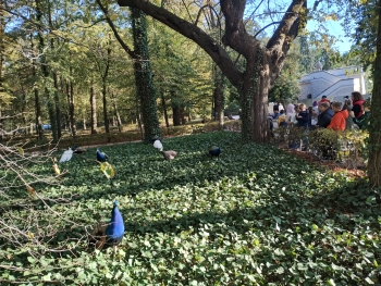 IMG_20251002_160935164_HDR