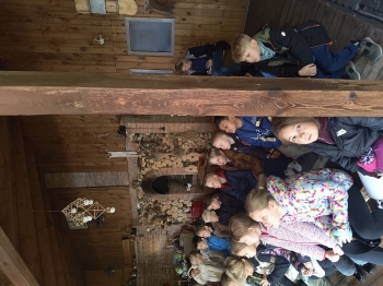 IMG_20251020_095707026