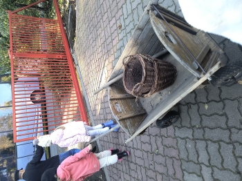 IMG_20251020_101916214_HDR