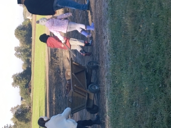 IMG_20251020_102210579