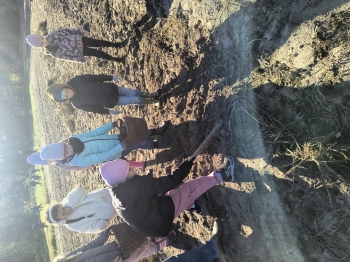 IMG_20251020_103457791_HDR