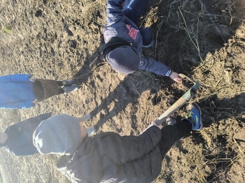 IMG_20251020_104303295_HDR