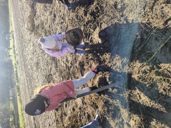 IMG_20251020_103834635_HDR