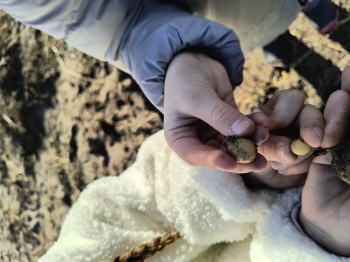 IMG_20251020_103940574_HDR