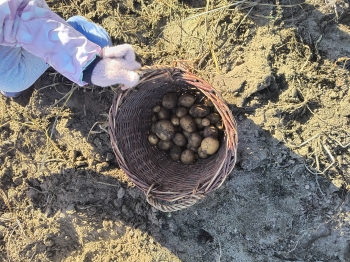 IMG_20251020_103945116_HDR