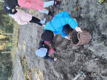 IMG_20251020_104602934_HDR