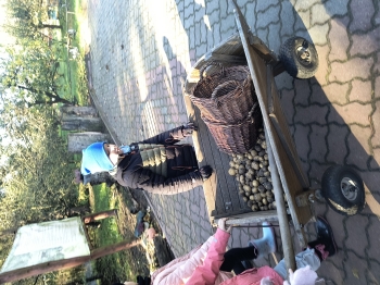 IMG_20251020_110232089_HDR