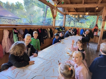 IMG_20251020_112929934_HDR