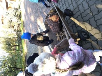 IMG_20251020_110234137_HDR